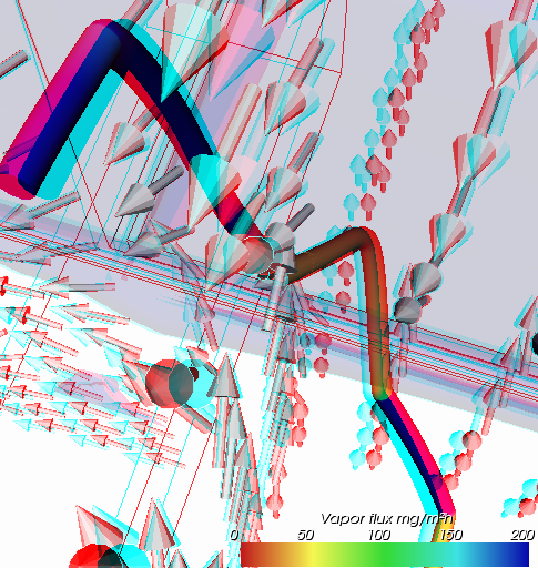 Anaglyph (Binokulare) Stereo Darstellung einer Berechung der Wärmebrücke mit Dampfdiffusion